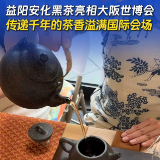 Zhuzhu逛世博丨益阳安化黑茶亮相大阪世博会 