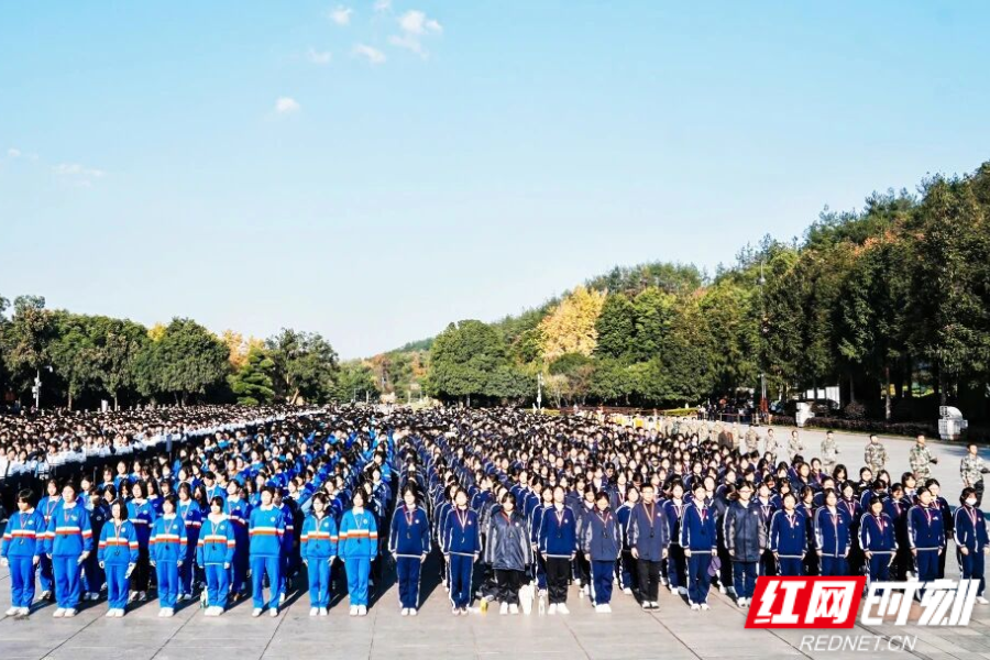 图片46.png 图片46.png