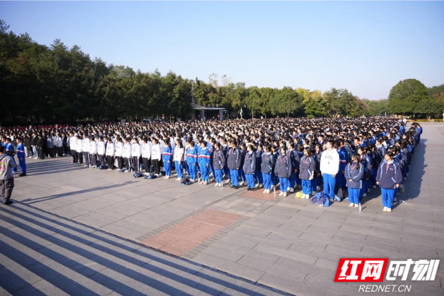 图片51.png 图片51.png