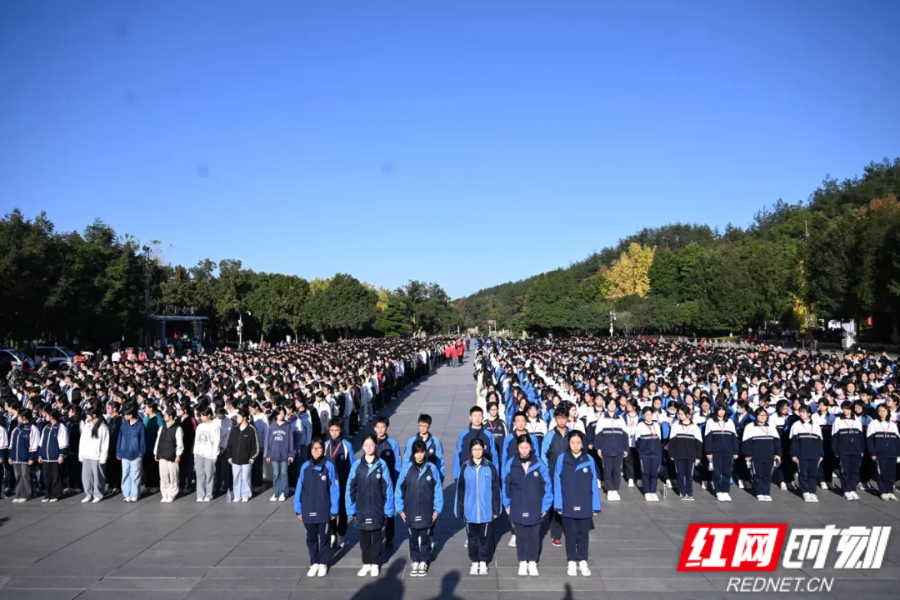 图片54.png 图片54.png