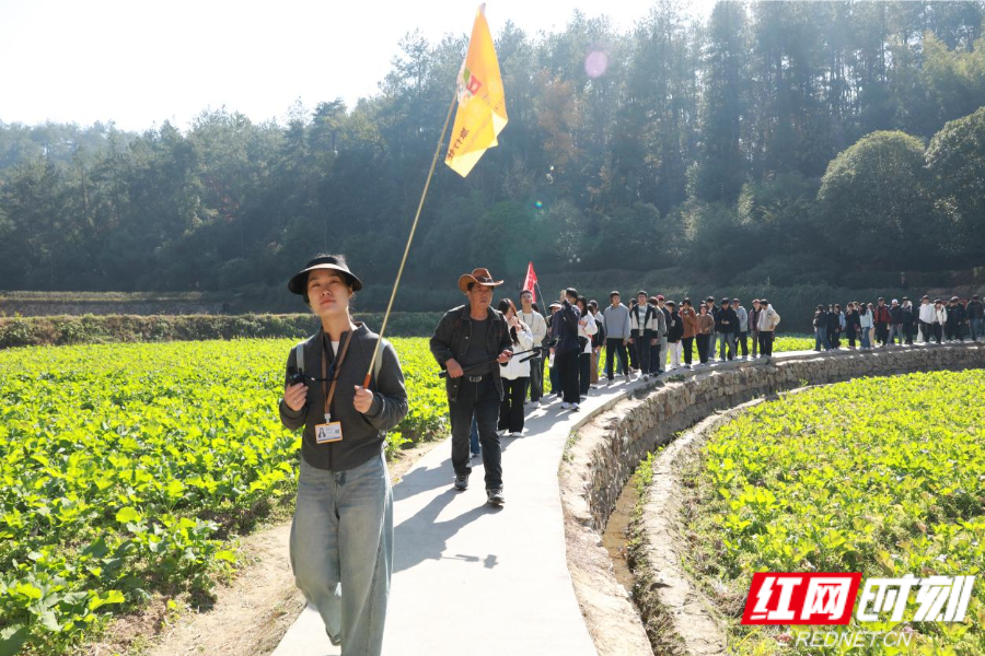 图片66.png 图片66.png