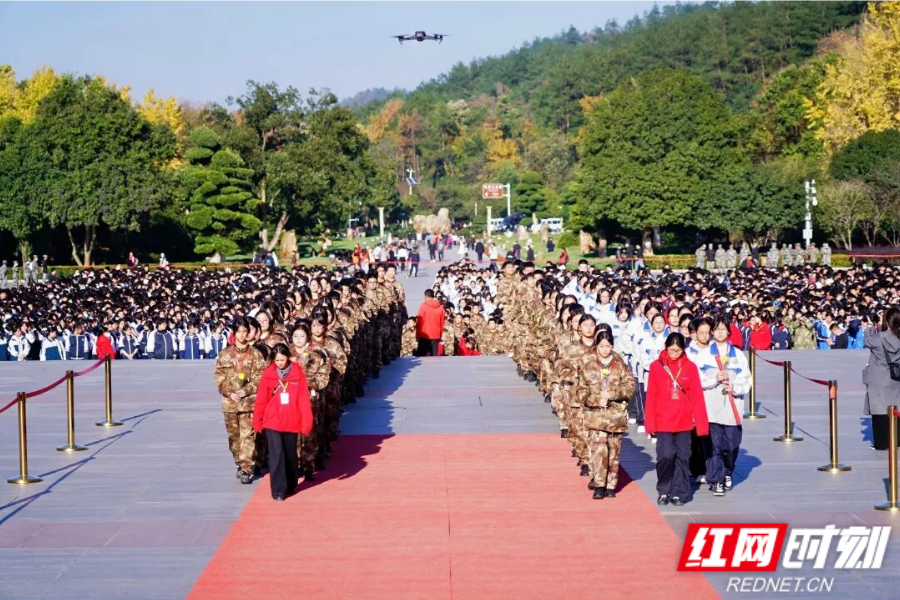 图片67.png 图片67.png