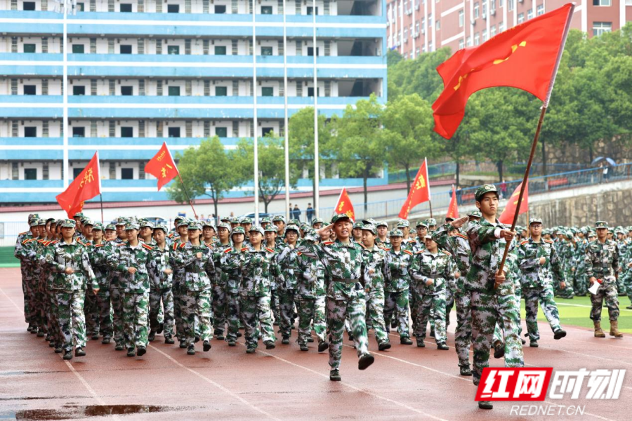 图片8.png