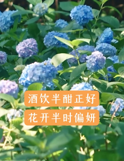 微信图片_20250521085621.png