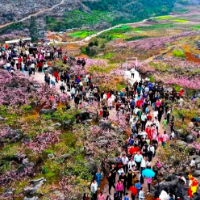 桃花灼灼映瑶乡 湖南工商大学驻村工作队为香花井村注振兴活力
