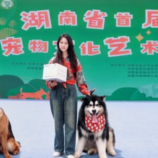 狗狗开会，羊驼聚会！湖南省首届宠物文化艺术节在湖南农大举行