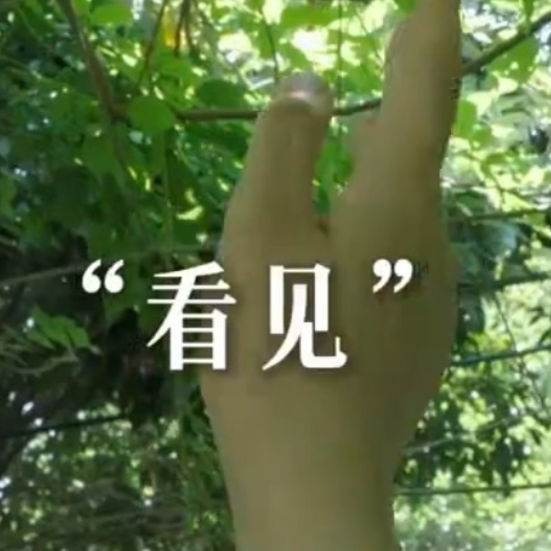 “枫林三色”绘就振兴图景 湘大学子探寻醴陵发展密码