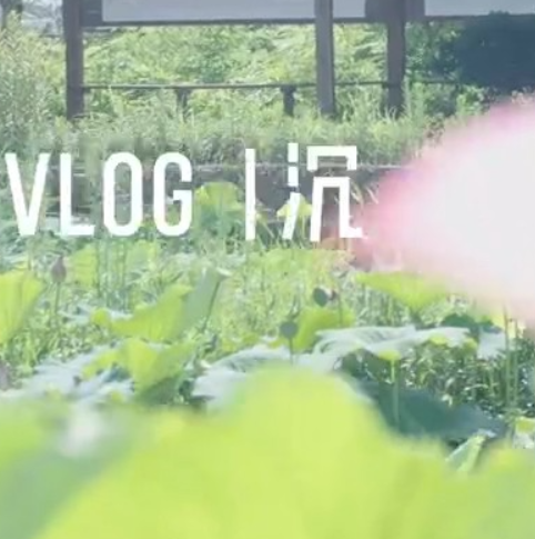 沉浸式观赏荷花！看醴陵市金桥社区荷花里农庄的“治土+致富”之路