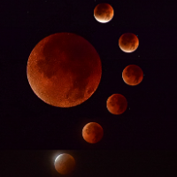 熬夜追星！在后湖仰望宇宙顶流“红月亮”