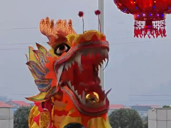 新春走基层·小镇顶流丨汨罗川山坪九龙迎春，年味直接拉满