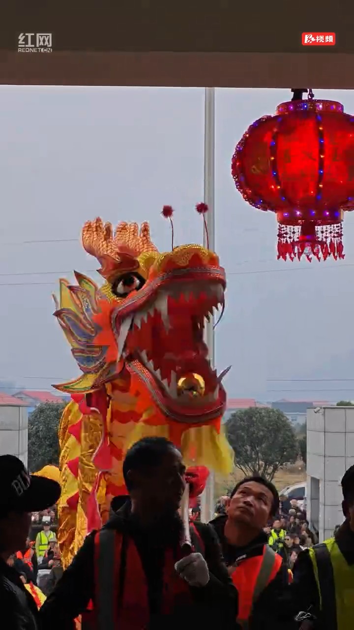 汨罗川山坪九龙迎春，年味拉满