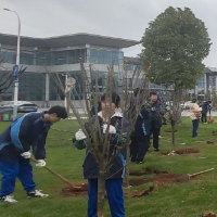 “植”此青绿  不负韶华 雅礼中学D2507班举行三月植树社会实践活动