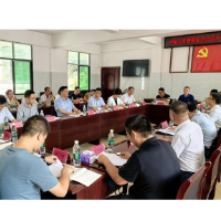 300亿·新征程丨湖南国寿:以保险力量绘就乡村振兴新图景