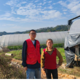 湖南首单巨灾大棚设施保险落地浏阳！人保财险提供458万风险保障