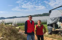 湖南首单巨灾大棚设施保险落地浏阳！人保财险提供458万风险保障