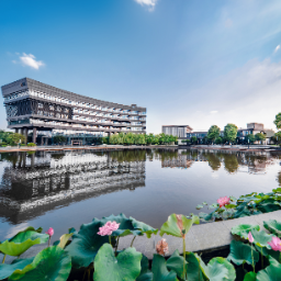 花开金芙蓉 擘画“十五五”| 国科微有“芯”突破