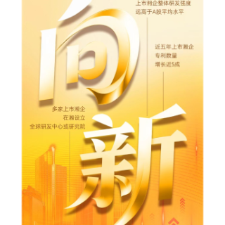 花开金芙蓉 擘画“十五五”｜上市湘企高“研”值