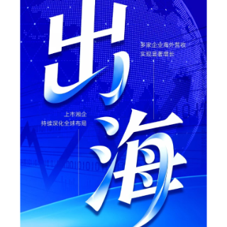 花开金芙蓉 擘画“十五五”｜上市湘企出海“新姿态”