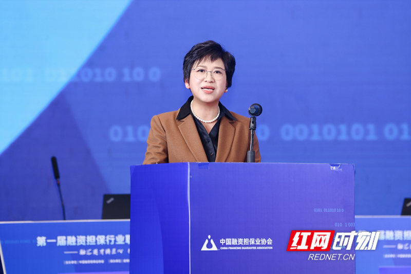 湖南省融资担保集团有限公司党委书记、董事长 ，湖南省融资担保协会会长胡茹琰致欢迎辞。