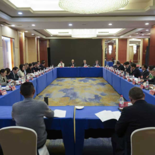 两会现场 ｜ 经济界别委员讨论现场 “出海”成热议词