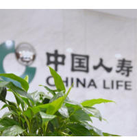 中国人寿湖南省分公司:把保险保障写进民生答卷