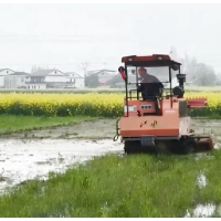 金融“活水”润良田 长沙银行精准“滴灌”春耕备耕