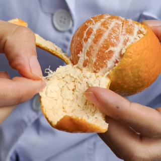 视频|教你玩转“橘络” 简单变“废”为宝