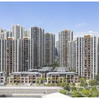 向租房陷阱亮剑 司法护航“住有所居”