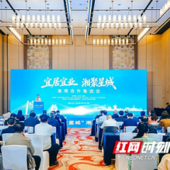 粤港澳大湾区湘商聚首星城 两地合作从“引进来”迈向“深度融合”