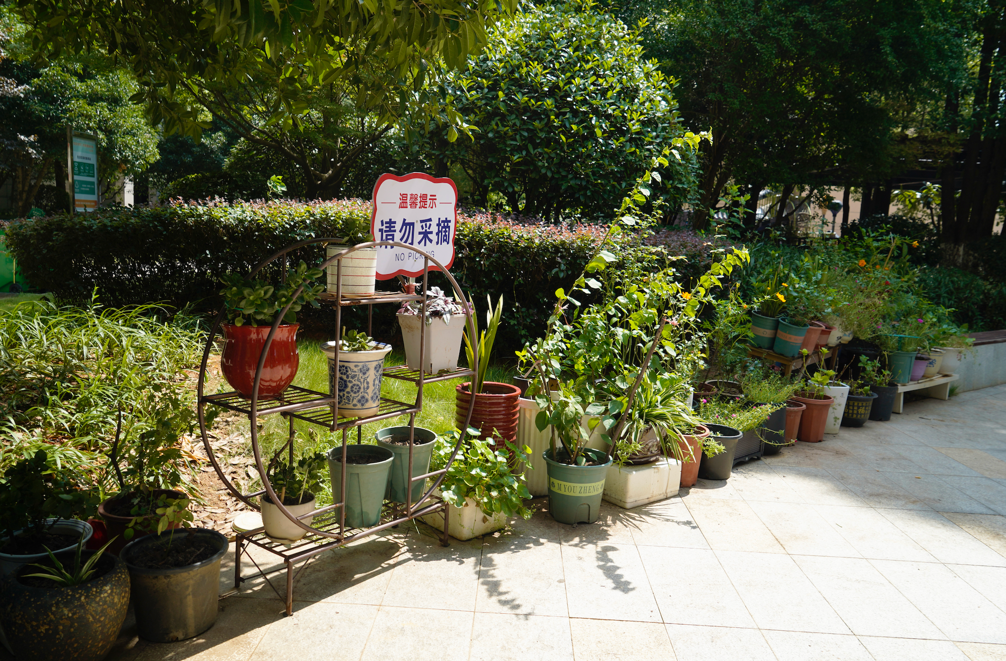 长房东云台.png 长房东云台.png