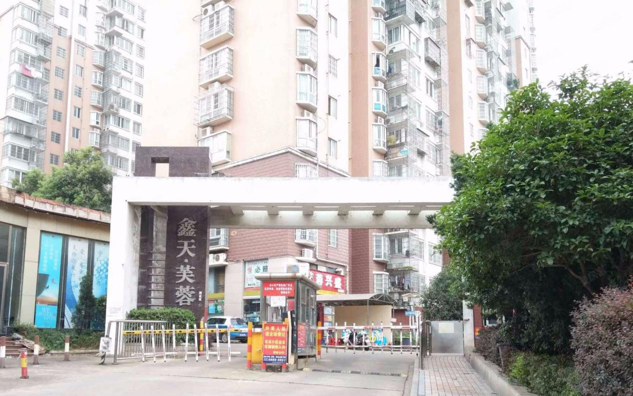 鑫天芙蓉.png 鑫天芙蓉.png