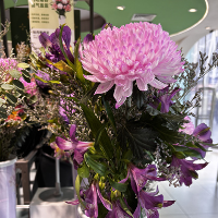 好物清单分享㉕丨19.9元起解锁会员店鲜花自由