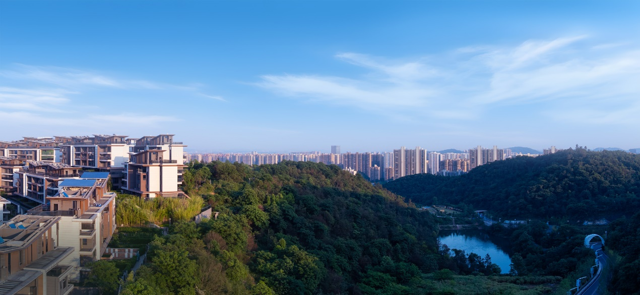 图片10.png 图片10.png