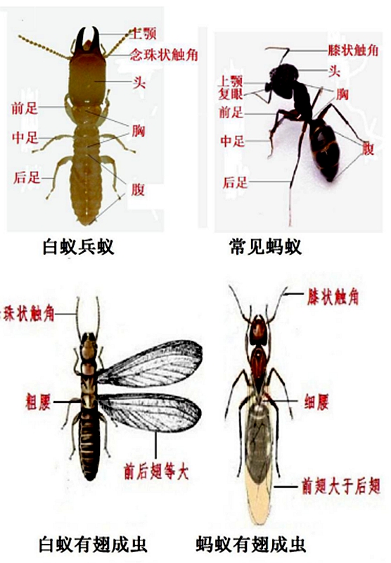 图片1_副本.jpg 图片1_副本.jpg