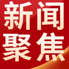 视频丨一个号码串起安居好服务 长沙住房公积金“12329”宣传月启动