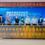 国内首款“按结局付费”辅助生殖商业保险在湘上市 湖南探索构建多层次辅助生殖保障体系