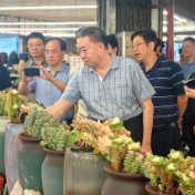 毛万春在云南开展对比调研