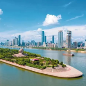 毛伟明主持省政府第86次常务会议 研究部署服务业发展、“三医一张网”建设等工作