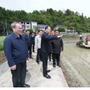 毛伟明在张家界检查春耕生产和防汛备汛