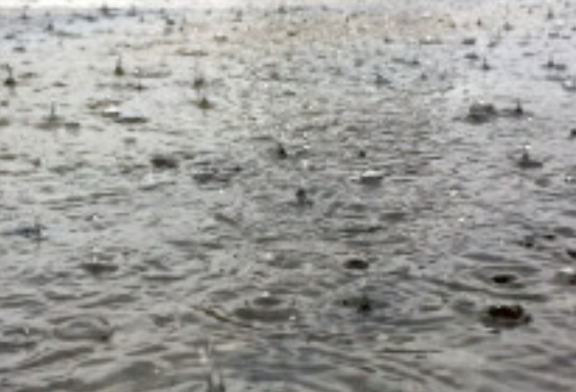 大到暴雨来袭！下班早点回家！