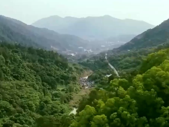 “十五五”时期，生态环境领域的重点着力方向是什么？专家解读