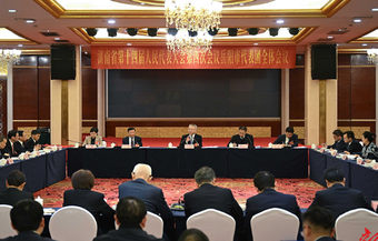 沈晓明参加岳阳市代表团审议