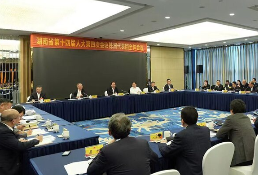 毛伟明参加株洲市代表团审议