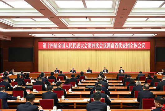 湖南代表团举行第一次全体会议