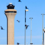 政府“停摆”持续 美国当天已取消890趟航班