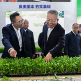 沈晓明参观全国粮油和大豆产业博览会、中部农博会