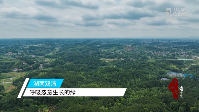 双清：呼吸恣意生长的绿