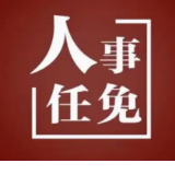 湖南省人民政府任免工作人员
