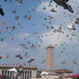 凝聚复兴伟力 绘就时代华章——2025年宣传思想文化事业开创新局面