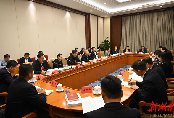 湖南代表团举行分组会议 审议三部法律草案
